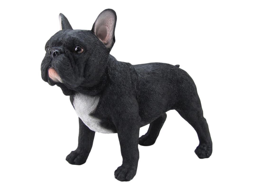 36cm Standing Black French Bulldog