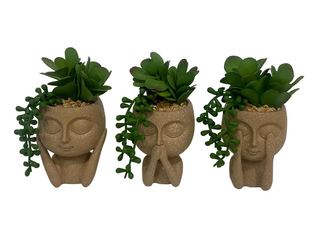 15cm Wise Face with Succulent Plant 3 Asstd